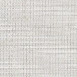 bamboo birch 10