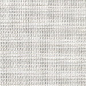bamboo birch 10