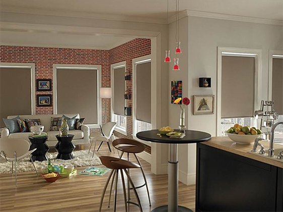 blackout-roller-shade-gallery
