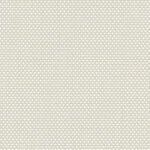 oyster-beige