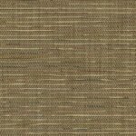 tweed-buckeye