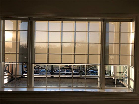 max-transparency-gallery10